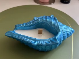 Molde silicona caracol de mar 